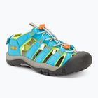 KEEN Newport Boundless blue atoll/daiquiri green junior σανδάλια