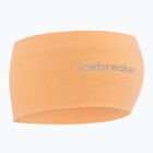 Icebreaker Merino 200 Oasis Headband feldspar