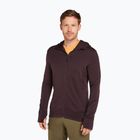 Ανδρικό Icebreaker Merino 260 Quantum IV Zip Hoodie γλυκόπικρο