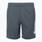 Παιδικό σορτς Nike Dri-Fit Multi smoke grey/white/white