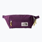 Τσαντάκι μέσης The North Face Berkeley Lumbar black currant purple/yeellow silt