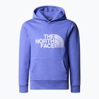 Παιδικό φούτερ The North Face Drew Peak Light Hoodie dopamine blue