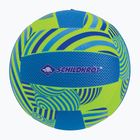 Schildkröt Beach Volleyball Ωκεανός 970340