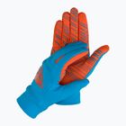 DYNAFIT Ανακυκλωμένο θερμικό γάντι σκι μπλε-κόκκινο 08-0000071369