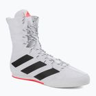 Παπούτσια πυγμαχίας adidas Box Hog 3 λευκό και μαύρο GV9975