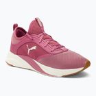 Γυναικεία παπούτσια για τρέξιμο PUMA Softride Ruby pink 377050 04