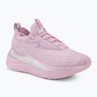 Γυναικεία παπούτσια για τρέξιμο PUMA Softride Stakd Premiums μοβ