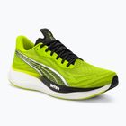Ανδρικά παπούτσια για τρέξιμο PUMA Velocity Nitro 3 Psychedelic Rush πράσινο