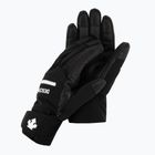 Ανδρικά γάντια σκι Descente Gordon 93 μαύρο DWBUGD11