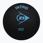 Dunlop μπάλα σκουός Intro μπλε κουκίδα 700105