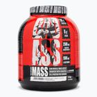 Αρχή Fitness Gainer Bad Ass Mass 3 kg μπισκότα με κρέμα γάλακτος