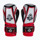 DBX BUSHIDO ARB-407v2 παιδικά γάντια πυγμαχίας μαύρα και κόκκινα