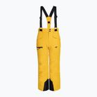 Παιδικό παντελόνι σκι 4F M360 κίτρινο