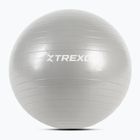 TREXO Gymball TXO-B4Z007-GY 55 cm γκρι