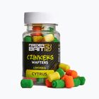 Wafters Feeder Bait δόλωμα γάντζου Δόλωμα Citrus 7/10 mm 60 ml FB19-9