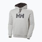 Ανδρικό φούτερ Helly Hansen HH Logo Hoodie grey/melange