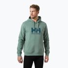 Ανδρικό φούτερ Helly Hansen HH Logo Hoodie cactus