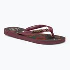 Ανδρικές σαγιονάρες Havaianas Top Tribo dark brown