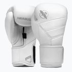 Γάντια του μποξ Hayabusa T3 Kanpeki arctic white