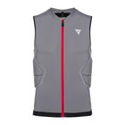 Ανδρικό προστατευτικό γιλέκο Dainese Flexagon Waistcoat 2 silver filigree/castle rock