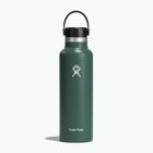 Τουριστικό μπουκάλι Hydro Flask Standard Flex 620 ml ελάτης