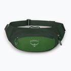 Τσαντάκι μέσης Osprey Daylite Waist 2 l green bely/green canopy