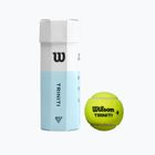 Μπάλες τένις Wilson Triniti TBall 3 τμχ κίτρινο WRT125200+