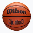 Wilson NBA μπάσκετ JR Drv Fam Logo καφέ μέγεθος 6