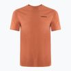 Ανδρικό Patagonia P-6 Logo Responsibili-Tee trekking shirt redtall rust