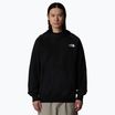 Ανδρικό φούτερ The North Face Raglan Box Nse Hoodie black/ white