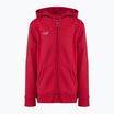 Capelli Basics Youth Zip Football Hoodie κόκκινο