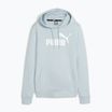 Puma ESS Logo Hoodie TR (S) τυρκουάζ φούτερ για σερφ