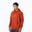 Ανδρικό trekking φούτερ Helly Hansen Nord Graphic Pull Over Hoodie κόκκινο 62975_308