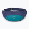 Τσαντάκι μέσης Osprey Daylite Waist 2 l blue spikemoss/alkaline