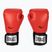 Everlast Pro Style 2 κόκκινα γάντια πυγμαχίας EV2120 RED