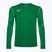 Nike Dri-FIT Park 20 Crew ανδρικό μακρυμάνικο ποδοσφαιρικό μακρυμάνικο σε πράσινο/λευκό χρώμα