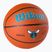 Wilson NBA Team Alliance Charlotte Hornets μπάσκετ WTB3100XBCHA μέγεθος 7
