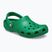 Crocs Classic σαγιονάρες πράσινη κισσός