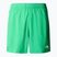 Ανδρικά The North Face 24/7 optic emerald running shorts