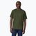 Ανδρικό Patagonia P-6 Logo Responsibili-Tee trekking shirt torrey pine green