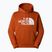 Ανδρικό φούτερ The North Face Easy Hoodie earthen copper