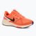 Nike Structure 25 ανδρικά παπούτσια για τρέξιμο Hyper crimson/αστρονομικό μπλε/χλωμό ελεφαντόδοντο/μαύρο