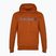 Ανδρικό Timberland Linear Logo Hoodie umber