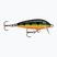 Rapala Original Floater wobbler για πέρκα