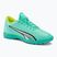 Ανδρικά ποδοσφαιρικά παπούτσια PUMA Ultra Play TT μπλε 107226 03