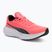 Παπούτσια τρεξίματος PUMA Scend Pro sunset glow/puma black