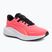 Παπούτσια τρεξίματος PUMA Skyrocket Lite sunset glow/puma black