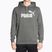 Ανδρικό φούτερ PUMA Essentials Big Logo Hoodie FL mineral gray