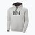 Ανδρικό Helly Hansen HH Logo Hoodie γκρι/μελανζέ