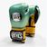 Γάντια του μποξ Cleto Reyes Velcro Sparring metalic green/gold wbc